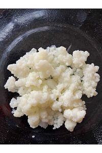 Kefir Mayası, Canlı Tane, Süt Kefir Mayası Doğal Probiyotik ürün fotoğrafı