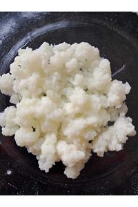 Kefir Mayası, Canlı Tane, Süt Kefir Mayası Doğal Probiyotik ürün fotoğrafı