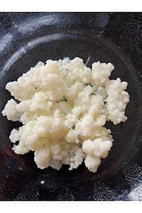 Kefir Mayası, Canlı Tane, Süt Kefir Mayası Doğal Probiyotik ürün fotoğrafı