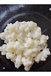 Kefir Mayası, Canlı Tane, Süt Kefir Mayası Doğal Probiyotik ürün fotoğrafı
