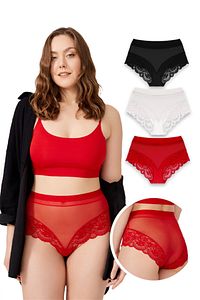 Dantel Detaylı Transparan Büyük Beden Bikini Külot 3'lü Paket ürün fotoğrafı