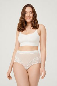 Dantel Detaylı Transparan Büyük Beden Bikini Külot 3'lü Paket ürün fotoğrafı