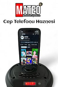Bluetooth Hoparlör Parti Hoparlörü Karaoke Mikrofon Kumanda Işıklı Ses Bombası Radyo Usb Sd Girişli ürün fotoğrafı