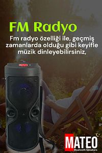 Bluetooth Hoparlör Parti Hoparlörü Karaoke Mikrofon Kumanda Işıklı Ses Bombası Radyo Usb Sd Girişli ürün fotoğrafı