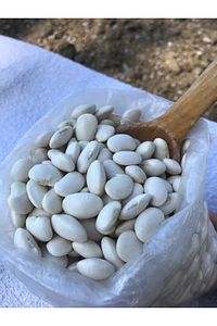 lobye fasülye 1 kg ürün fotoğrafı