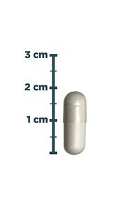 Zinc 15 Mg 100 Kapsül ürün fotoğrafı