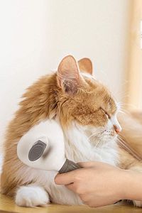 Otomatik Evcil Hayvan Tüy Toplama Tarağı Pratik Tuşlu Pet Fırçası Kedi Köpek Tüy Tarama Fırçası ürün fotoğrafı