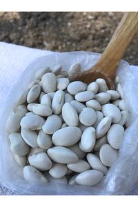 lobye fasülye 1 kg ürün fotoğrafı