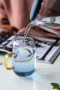 cambu Renkli Borosilikat (Sıcak Soğuk Dayanıklı) Cam Sürahi 1,5LT (1500ML) ürün fotoğrafı