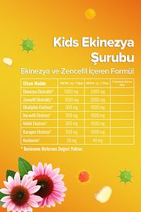 Kids Şurubu Çocuklar Için - Ekinezya Ve Zencefil Içeren Şurup 150 Ml ürün fotoğrafı