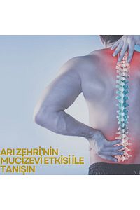 Arı Zehri Ekstresi Kas Gevşetici Masaj Kremi ürün fotoğrafı