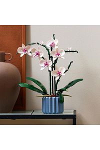 ® Botanicals Orkide 10311 - 18+ Dekoratif Çiçek Model Yapım Seti (608 Parça) ürün fotoğrafı