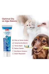 Biodent Enzymatic Kedi Diş Macunu Köpek Diş Macunu Plak Tartar Koku Yutulabilir 100ml ürün fotoğrafı