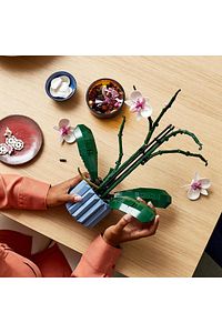 ® Botanicals Orkide 10311 - 18+ Dekoratif Çiçek Model Yapım Seti (608 Parça) ürün fotoğrafı