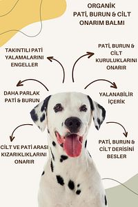 Organik Pati - Burun Bakım Ve Onarım Balmı 30ml ürün fotoğrafı