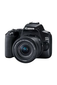 Eos 250d 18-55mm Is Stm Lens (2 Yıl Eurasia Garanti) ürün fotoğrafı