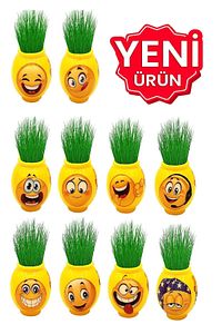 Çim Adam Çimoji Okul Etkinlikleri Kutlama 1 Kutu 24 Adet ürün fotoğrafı