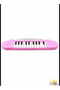 Eğitici Oyuncaklar Pilli Mini 22 Tuşlu Org Oyuncak Pembe Piano Org Oyuncak ürün fotoğrafı