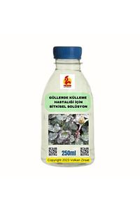 Güllerde Külleme Hastalıği Için Bitkisel Solüsyon 250ml Ürün Hediyeli #iyikialmışım ürün fotoğrafı