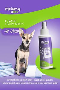 Köpek Tuvalet Eğitim Spreyi - 100 ml ürün fotoğrafı