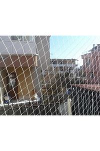 Balkon 2,5x3 Metre Kuş Filesi Kedi Koruma Ağı Koruyucu Güvenlik ürün fotoğrafı