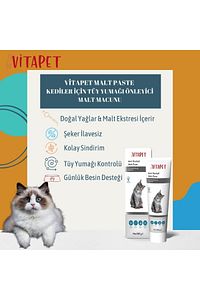 Malt Paste 100 gr Kediler Için Tüy Yumağı Önleyici Malt Macunu ürün fotoğrafı