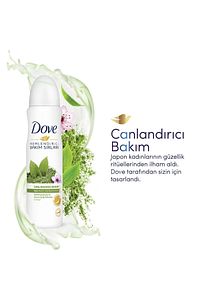 Kadın Sprey Deodorant Canlandırıcı Bakım Matcha Yeşil Çay Ve Sakura Çiçeği 150 ml X3 Adet ürün fotoğrafı