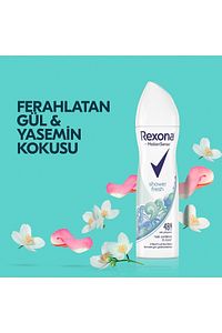 Kadın Sprey Deodorant Shower Fresh 150 Ml X3 Adet ürün fotoğrafı