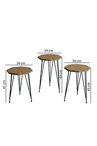 3'lü Zigon Sehpa Ve Orta Sehpa Set Sekizgen Sehpa Seti Tel Ayak Metal Sehpa Set ürün fotoğrafı
