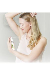 Kadın Sprey Deodorant Canlandırıcı Bakım Matcha Yeşil Çay Ve Sakura Çiçeği 150 ml X3 Adet ürün fotoğrafı