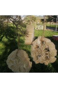 Doğal kabak lifi (vücut ,bulaşık,temizlik ) 2 adet ürün fotoğrafı