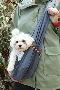 İndigo Mavi Köpek Taşıma Çantası (PET SLİNG) Ana Kucağı ürün fotoğrafı