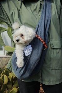 İndigo Mavi Köpek Taşıma Çantası (PET SLİNG) Ana Kucağı ürün fotoğrafı