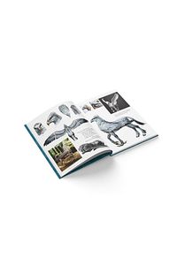 Harry Potter Film Dehlizi Kitap 1: Orman, Göl Ve Gök Sakinleri (ciltli) ürün fotoğrafı