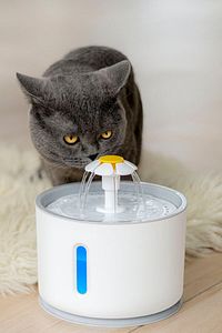 Pet Kedi Köpek Için Su Pınarı Su Çeşmesi Su Sebili 2.4 Lt Usb Ile Çalışır ürün fotoğrafı