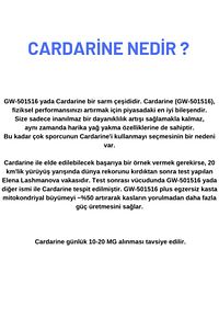Cardarine Gw-50156 Sarms 30 Capsul 15mg (Doğrulama kodlu) ürün fotoğrafı