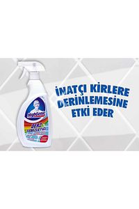 Derz Temizleyici 750 ml ürün fotoğrafı