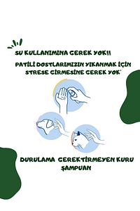 Köpük Şampuan Kedi Tüy Dökülmesi Karşıtı Doğal Içerikli Aloe Veralı Kuru Köpük Şampuan 250 ml ürün fotoğrafı