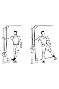 Ayak Bilek Kayışı D-ring Fitness Ağırlık Çekiş Aparatı ürün fotoğrafı