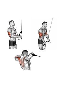 Ev Tipi Cable Crossover Sırt Çekiş Lat Pulldown ,triceps ,biceps Çalışma Istasyonu ürün fotoğrafı