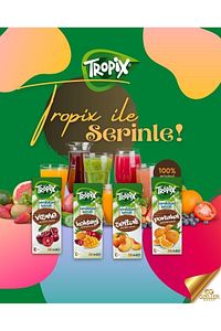 Meyve Suyu Şeftali 200 ml X 27 ürün fotoğrafı