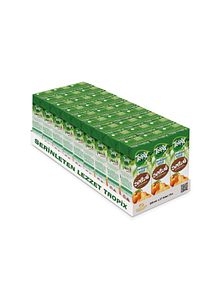 Meyve Suyu Şeftali 200 ml X 27 ürün fotoğrafı