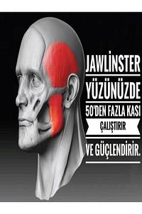 Çene Egzersiz Topu Orta Seviye Küçük Çene Kası Egzersiz Topu ürün fotoğrafı