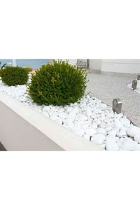 Beyaz Dolomit Taş 5 Kg 2-4 Cm Dekoratif Bahçe Taşı Akvaryum Taşı Dolamit Taş ürün fotoğrafı