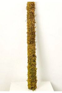 100 Cm Bitki Destek Çubuğu (YOSUN SOPASI) ürün fotoğrafı