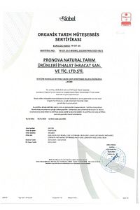 Doğal Cevizli Kuru Incir Lokumu Premium Net 200 gr ürün fotoğrafı