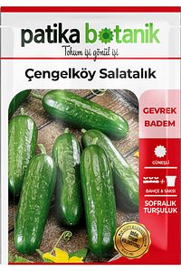 150 Adet Çengelköy Salatalık Tohumu ürün fotoğrafı