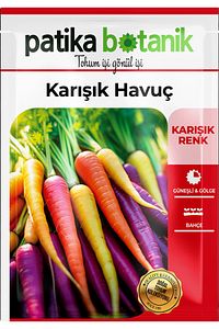 3000 Adet Karışık Havuç Tohumu (SARI,TURUNCU, MOR, KIRMIZI) ürün fotoğrafı