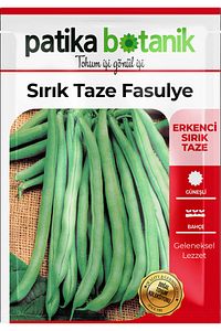 50 Adet Sırık Fasulye Tohumu ( Mine) ürün fotoğrafı