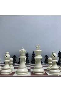 Profesyonel Satranç Takımı (95MM - AĞIRLIKLI - YEDEK VEZİRLİ) ürün fotoğrafı